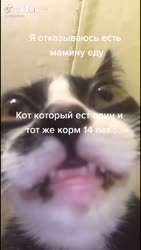 544x960