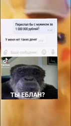 544x960