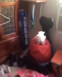 360x450