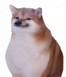 626x720