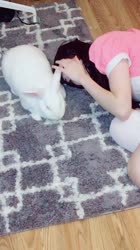 540x960