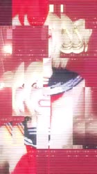 385x685