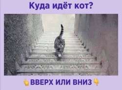1080x806