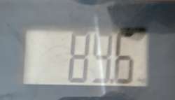 2337x1346
