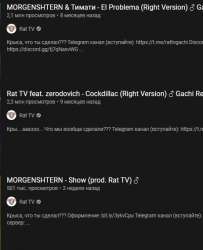 462x567