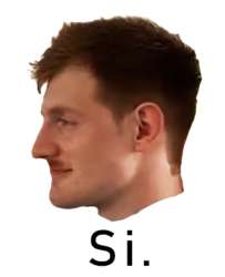 537x661