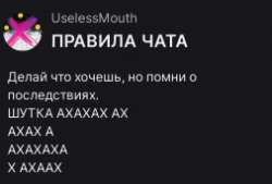 253x172