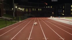 720x400
