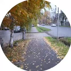 320x320