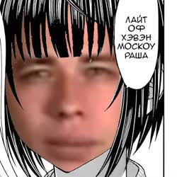 426x426