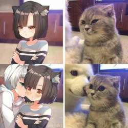700x700