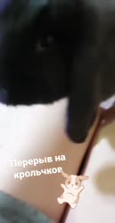 640x1240