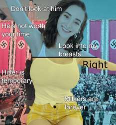558x598