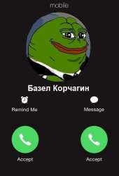 409x598