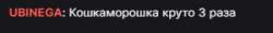 300x38