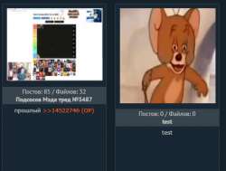 520x394
