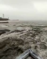 360x450
