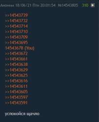 343x424
