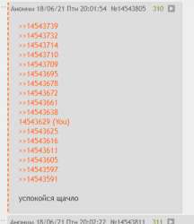 386x445