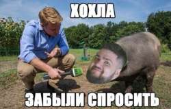 600x382