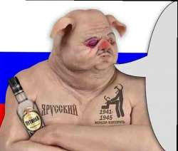 510x434