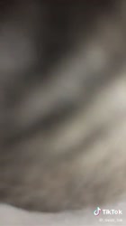 540x960