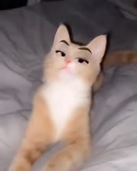 460x574