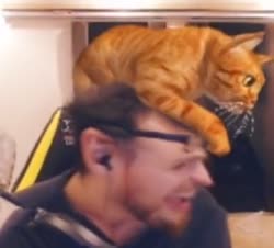360x326