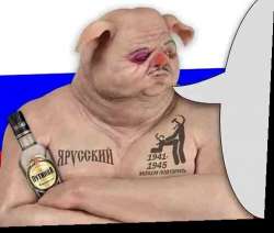 510x434