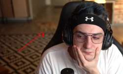 493x298