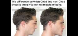 600x282