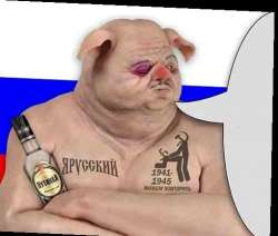 510x434