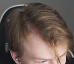 291x254
