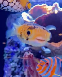 640x800