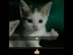 480x360