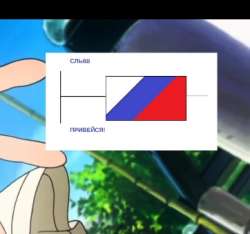 362x339