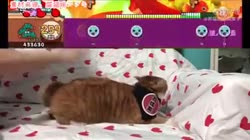 400x224