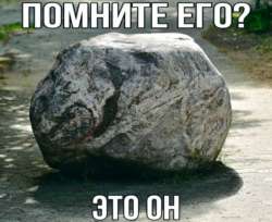 530x433