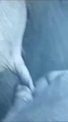 460x816