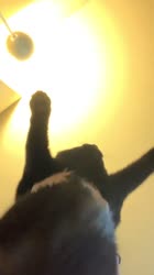 640x1138