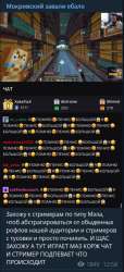 343x747