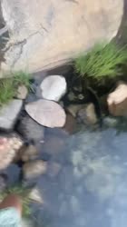 640x1136