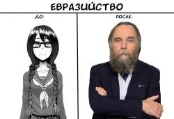 1000x684