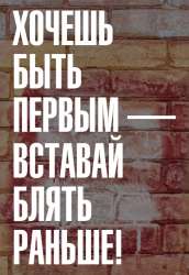 518x749