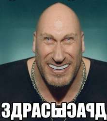 392x442