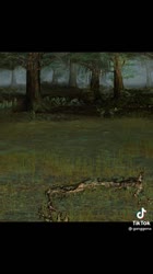 576x1024