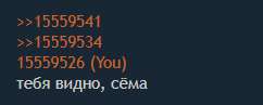 242x97