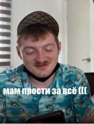 490x646
