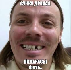 498x496