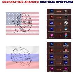 806x788